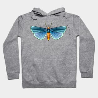 Butterfly Hoodie